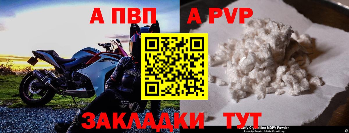 Альфа ПВП СК КРИС Луга