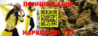 гашик Заводоуковск
