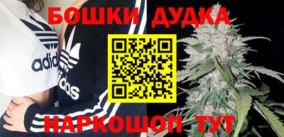 гашик Заводоуковск