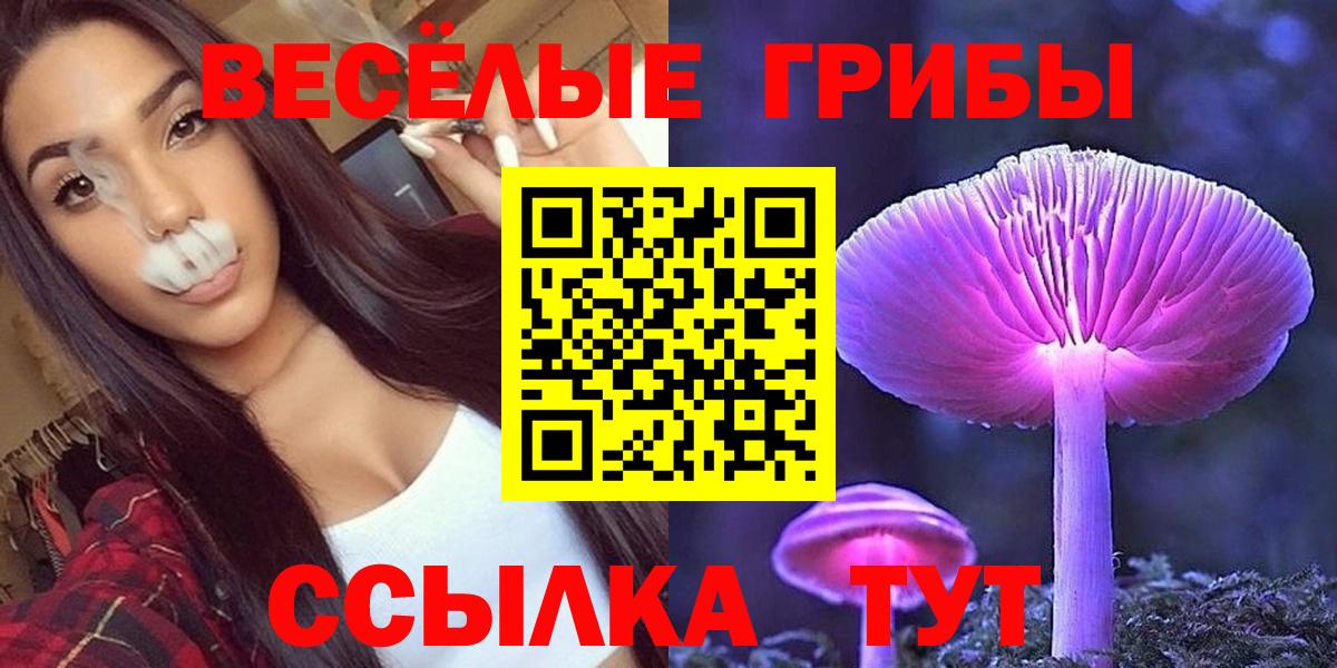 Галлюциногенные грибы Psilocybe  Вход с VPN  Луга  Псилоцибиновые грибы ЛСД 