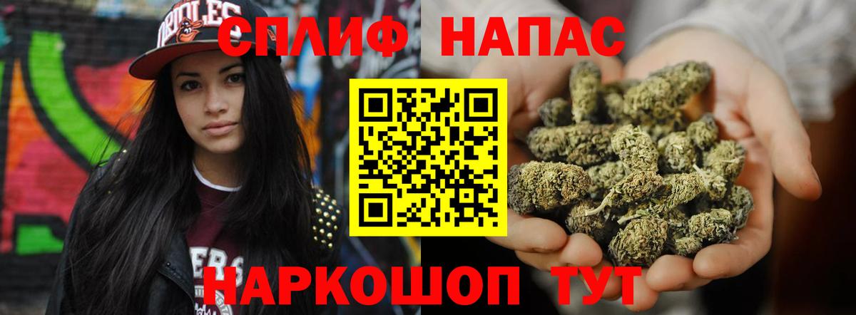 Каннабис Ganja  Шишки марихуана White Widow  Каннабис план  Луга  Вход с VPN 